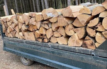 Material lemnos, fără documente legale, confiscat de polițiștii botoșăneni