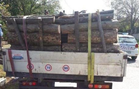 Transport ILEGAL de lemne, oprit de polițiștii botoșăneni. AMENDĂ de 1.000 de lei. Lemne CONFISCATE