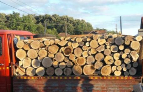 Peste 20 de metri cubi de material lemnos confiscați la Flămânzi 