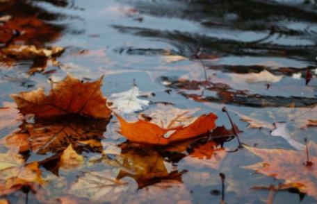 Ploi torențiale și furtuni în România, în următoarele zile! ANM anunță o schimbare drastică e vremii