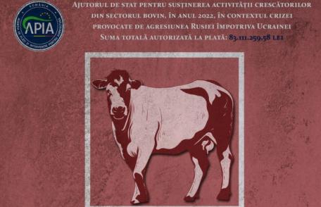 APIA: Sprijin financiar pentru susținerea activității crescătorilor de bovine