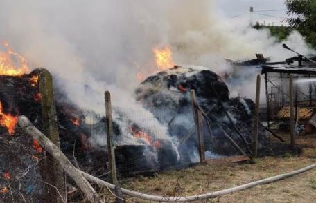Adăpost de animale și depozit de furaje cuprinse de flăcări. Pompierii botoșăneni au intervenit - FOTO