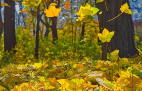 Prognoza meteo ANM. Vreme extremă în weekend. Unde vor fi minus 2 grade