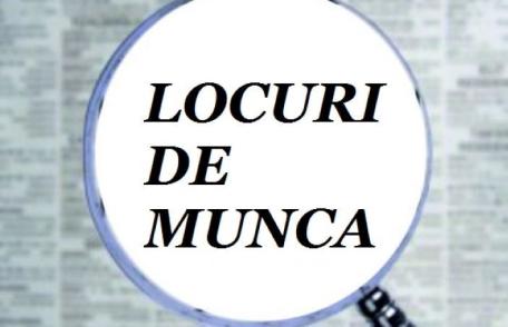 AJOFM Botoșani a publicat situația locurilor de muncă vacante. Sunt 531 de joburi disponibile