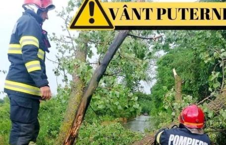 Meteorologii emis o avertizare COD GALBEN de intensificări ale vântului pentru județul Botoșani