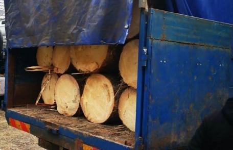 Material lemnos fără documente legale de transport confiscat la Șendriceni