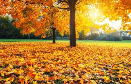 ANM a publicat prognoza meteo pentru următoarele două săptămâni: Vremea se menține deosebit de caldă toată săptămâna