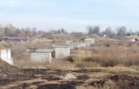 Construcţia podului peste Siret, de la Talpa, oprită ca să se protejeze specii de gândaci şi broaşte