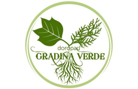 Gradina de lângă bloc - Proiect de înverzire a municipiului Dorohoi