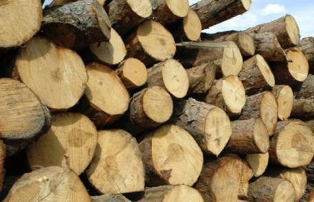 Material lemnos confiscat de polițiști la Mihăileni