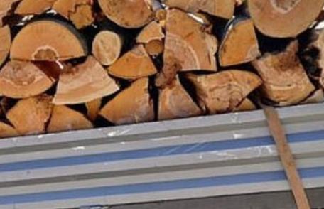 Sancțiune de 2.000 de lei aplicată de polițiști pentru transport material lemnos fără documente