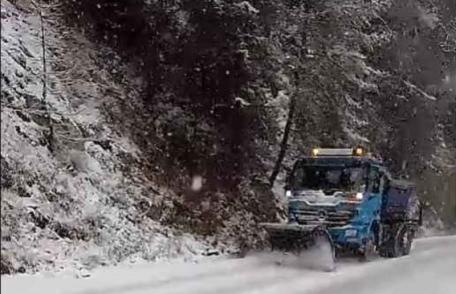 Ninsori abundente în zona montană a județului Suceava. Județul Botoșani se află sub atenționare de cod galben de ceață