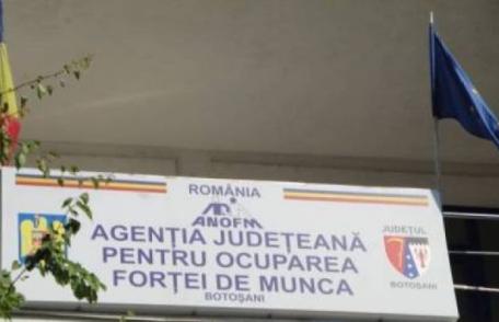 Salariații din AJOFM Botoșani sunt nemulțumiți de rezultatele negocierilor cu reprezentanții Guvernului