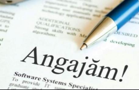 AJOFM Botoșani a publicat lista cu locurile de muncă. Sunt peste 100 de joburi disponibile