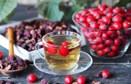 Beneficiile ceaiului de păducel