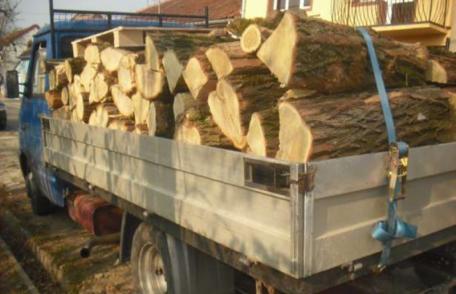 Material lemnos confiscat la Săveni și Mihăileni în cadrul unei acțiuni de amploare pentru prevenirea infracțiunilor silvice