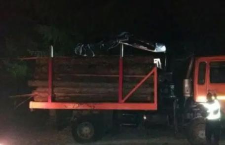 Material lemnos confiscat de polițiști la Cordăreni