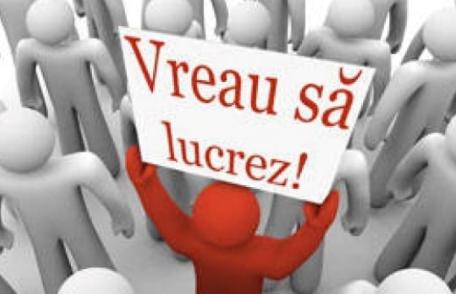 Aproape 4000 de persoane s-au angajat, prin intermediul AJOFM Botoșani, pe parcursul anului trecut