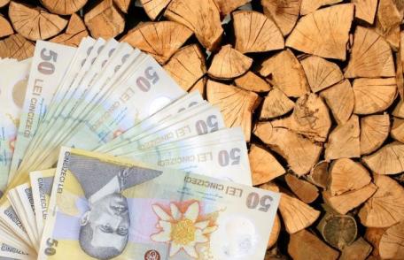 Guvernul României a aprobat menținerea ajutoarelor de încălzire pentru perioada rămasă din această iarnă