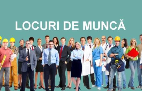 AJOFM: Peste 460 de locuri de muncă disponibile în județul Botoșani. Vezi lista joburilor neocupate!