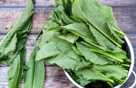 Proprietățile medicinale ale consumului de ștevie