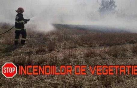Cinci incendii de vegetație în ultimele două zile