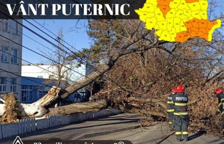 Meteorologii emis o avertizare COD PORTOCALIU de vânt pentru județul Botoșani. Rafalele vor depăși 120 km/h