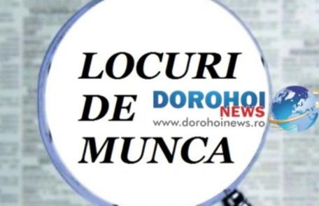 Locuri de muncă vacante la nivelul județului Botoșani la începutul lunii aprilie