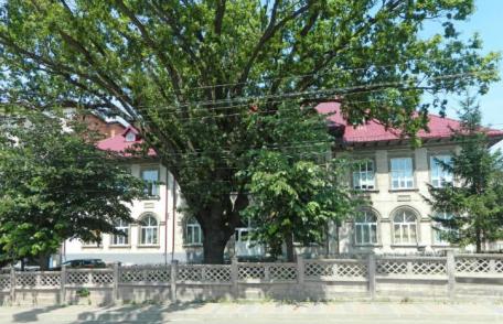 CONTED Dorohoi angajează îngrijitor clădiri