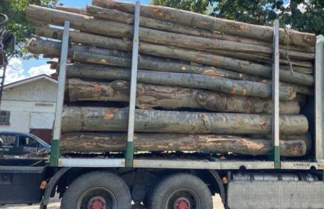 Material lemnos fără documente depistat de polițiști pe o stradă din Dorohoi 