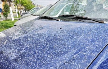 Un nor de praf din Sahara „excepțional de dens” ajunge în Europa. Vor fi depășite limitele maxime privind calitatea aerului