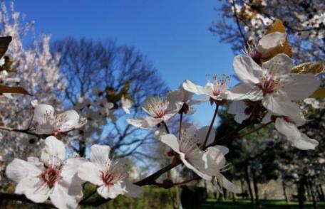 Un val de aer rece lovește România. Prognoza meteo ANM