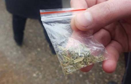 Doi tineri din Dorohoi cercetați pentru deținere de droguri