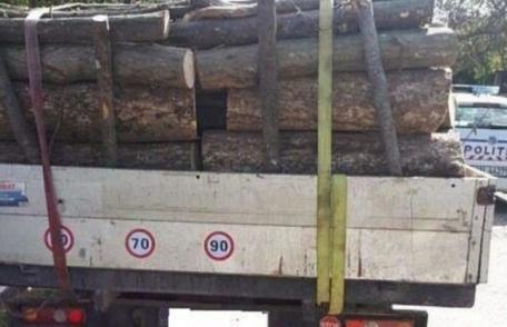 Sancțiune de 2.000 de lei și material lemnos confiscat