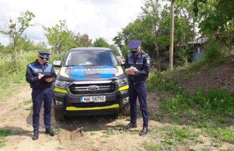 Sancțiuni de peste 24.000 de lei, pentru nerespectarea prevederilor legale privind câinii periculoși