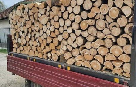 Material lemnos fără documente legale confiscat de polițiști la Dersca