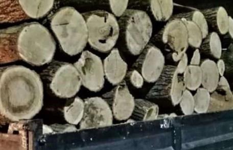 Material lemnos fără documente confiscat la Cordăreni