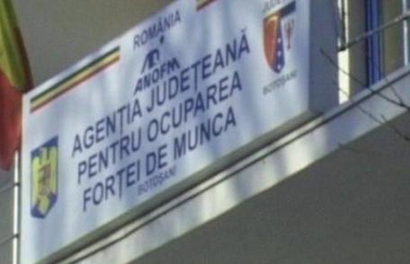 Peste 1300 de persoane angajate prin intermediul AJOFM Botoșani, în primele patru luni ale anului 2024 