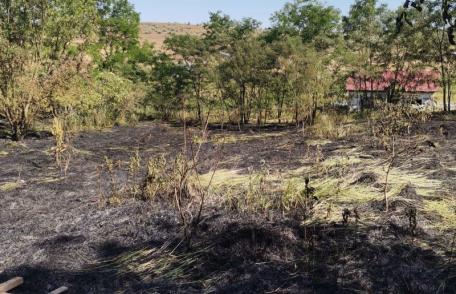Incendierea vegetației uscate este interzisă! Pompierii militari au intervenit pentru stingerea a trei incendii