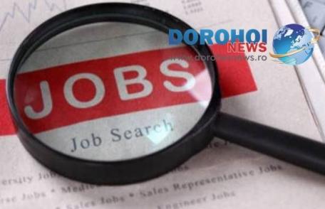 AJOFM Botoșani anunță 536 de locuri de muncă vacante la nivelul județului. Vezi lista!