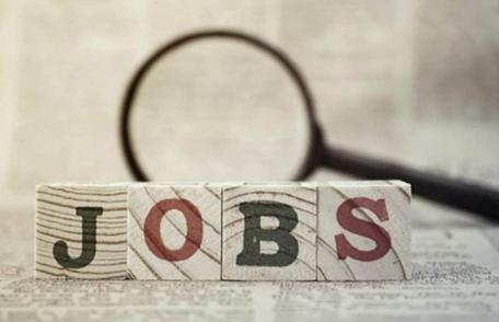 Locuri de muncă vacante și programe de formare pentru care se organizează înscrieri în săptămâna 10-17 iunie la Botoșani