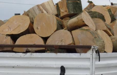 Sancțiune de 4.000 de lei pentru transport ilegal de lemne la Vârfu Câmpului