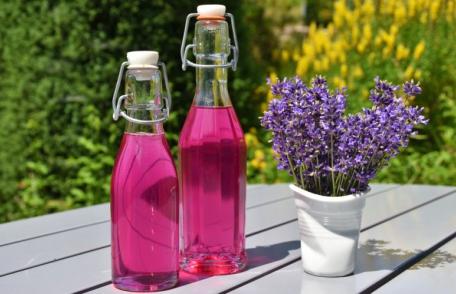 Ce beneficii are apa de lavandă și cum o preparăm