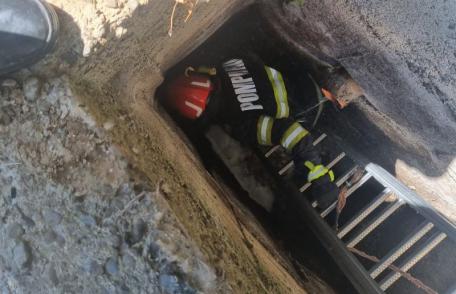 Pui de pisică salvat de pompieri dintr-un canal de aproximativ patru metri adâncime