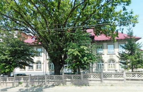 SC CONTED SA Dorohoi angajează operator calculator și femeie de serviciu
