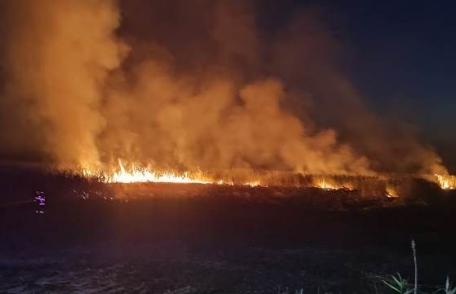 Trei incendii de vegetație uscată izbucnite în ultimele ore în județ. Zeci de hectare de stuf și copaci au ars