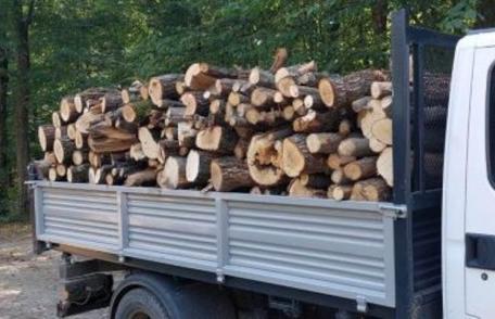 Tânăr din Darabani depistat în timp ce transporta material lemnos fără documente legale