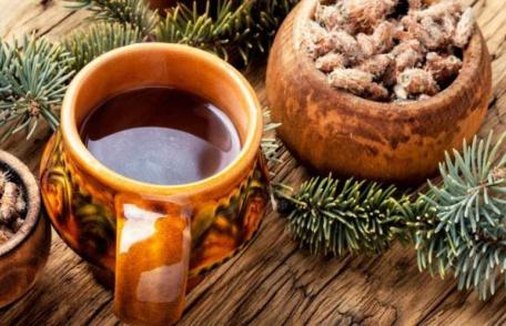 Remedii naturiste pe bază de pin