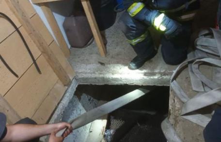 Un vițel de aproape 300 de kilograme salvat dintr-un beci adânc de doi metri