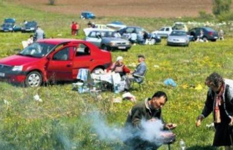Fără mici şi bere la pădure! Legea picnicului, adoptată de Camera Deputaţilor